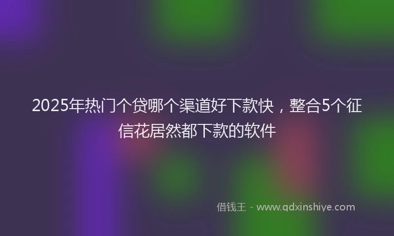2025年热门个贷哪个渠道好下款快，整合5个征信花居然都下款的软件