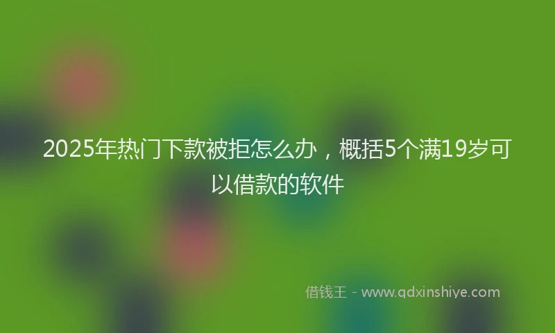 2025年热门下款被拒怎么办，概括5个满19岁可以借款的软件