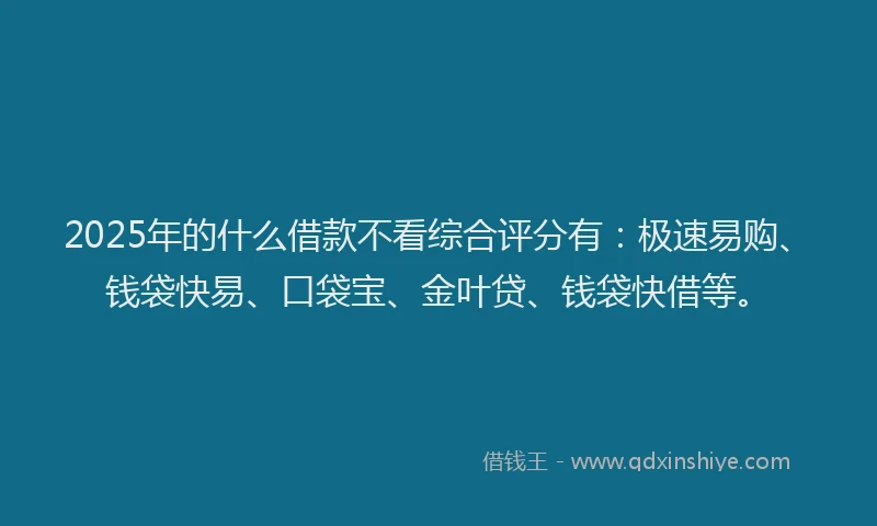 2025年的什么借款不看综合评分有：极速易购、钱袋快易、口袋宝、金叶贷、钱袋快借等。