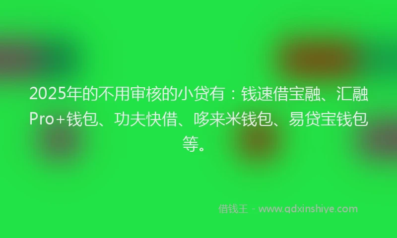 2025年的不用审核的小贷有：钱速借宝融、汇融Pro+钱包、功夫快借、哆来米钱包、易贷宝钱包等。