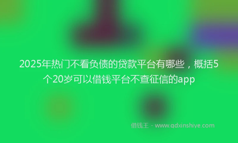 2025年热门不看负债的贷款平台有哪些，概括5个20岁可以借钱平台不查征信的app