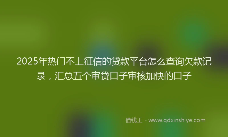 2025年热门不上征信的贷款平台怎么查询欠款记录，汇总五个审贷口子审核加快的口子
