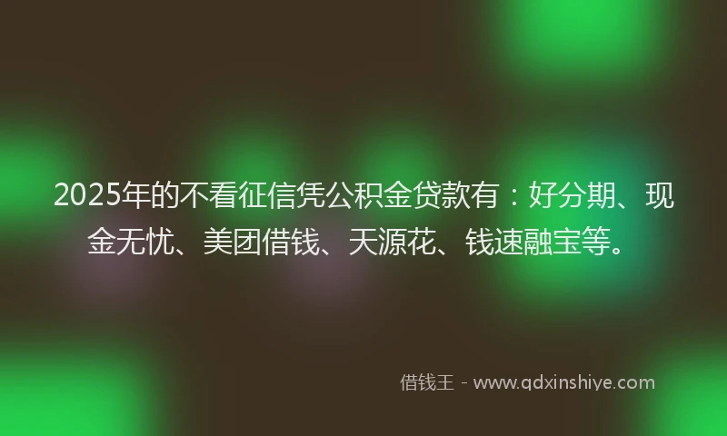 2025年的不看征信凭公积金贷款有：好分期、现金无忧、美团借钱、天源花、钱速融宝等。