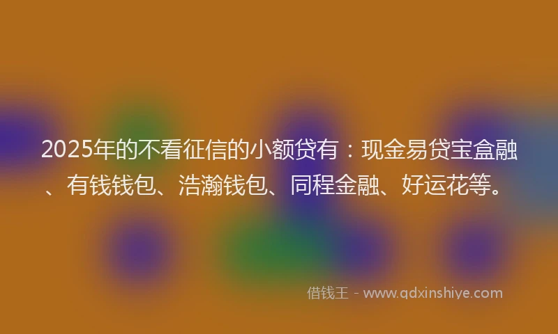 2025年的不看征信的小额贷有：现金易贷宝盒融、有钱钱包、浩瀚钱包、同程金融、好运花等。