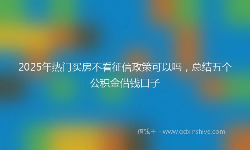 2025年热门买房不看征信政策可以吗，总结五个公积金借钱口子