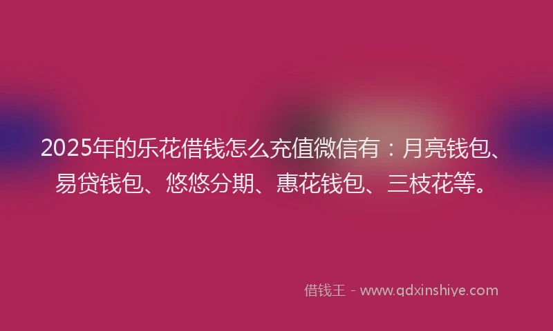 2025年的乐花借钱怎么充值微信有：月亮钱包、易贷钱包、悠悠分期、惠花钱包、三枝花等。