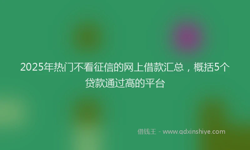 2025年热门不看征信的网上借款汇总，概括5个贷款通过高的平台