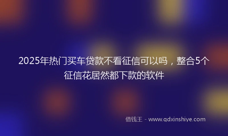 2025年热门买车贷款不看征信可以吗，整合5个征信花居然都下款的软件