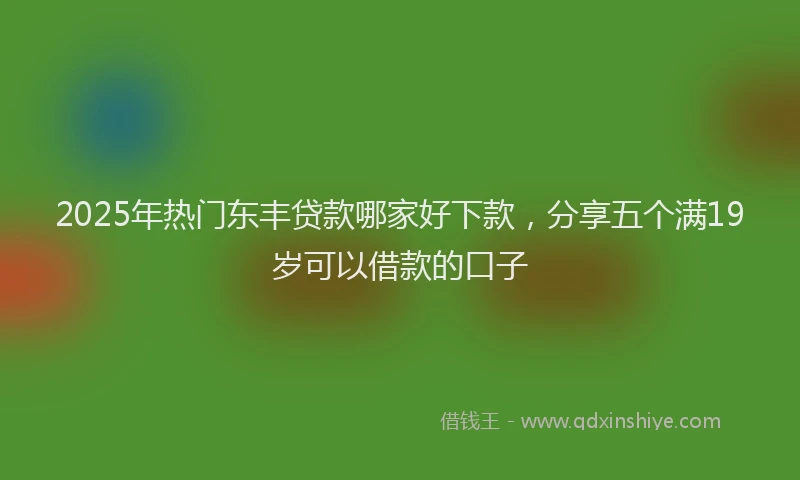 2025年热门东丰贷款哪家好下款，分享五个满19岁可以借款的口子