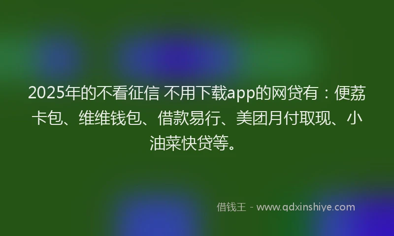 2025年的不看征信 不用下载app的网贷有：便荔卡包、维维钱包、借款易行、美团月付取现、小油菜快贷等。