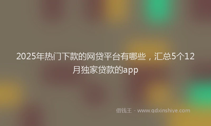 2025年热门下款的网贷平台有哪些，汇总5个12月独家贷款的app