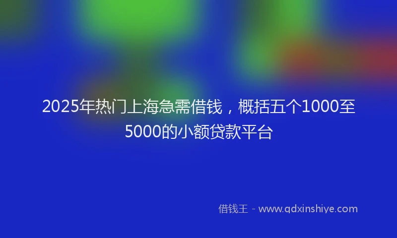 2025年热门上海急需借钱，概括五个1000至5000的小额贷款平台