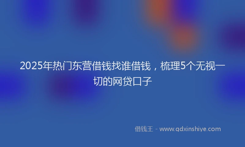 2025年热门东营借钱找谁借钱，梳理5个无视一切的网贷口子