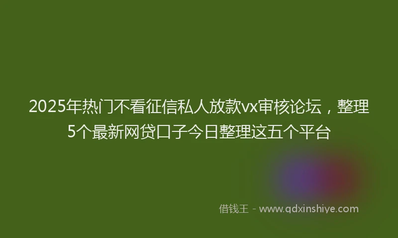 2025年热门不看征信私人放款vx审核论坛，整理5个最新网贷口子今日整理这五个平台