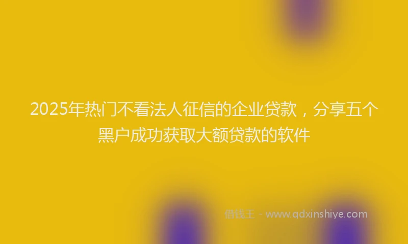 2025年热门不看法人征信的企业贷款，分享五个黑户成功获取大额贷款的软件