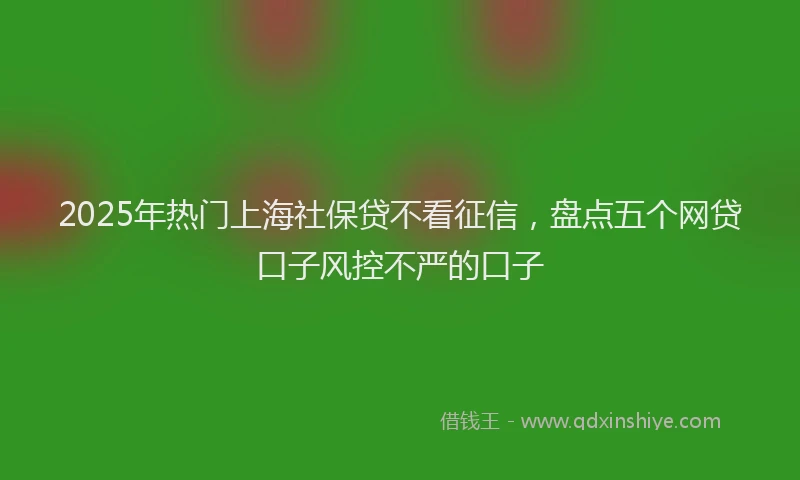 2025年热门上海社保贷不看征信，盘点五个网贷口子风控不严的口子