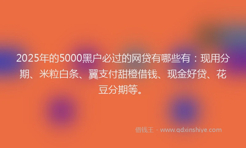 2025年的5000黑户必过的网贷有哪些有：现用分期、米粒白条、翼支付甜橙借钱、现金好贷、花豆分期等。