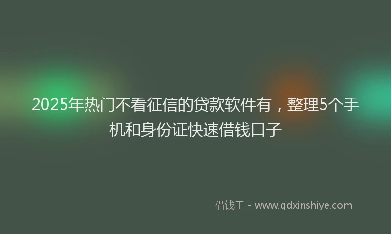 2025年热门不看征信的贷款软件有，整理5个手机和身份证快速借钱口子