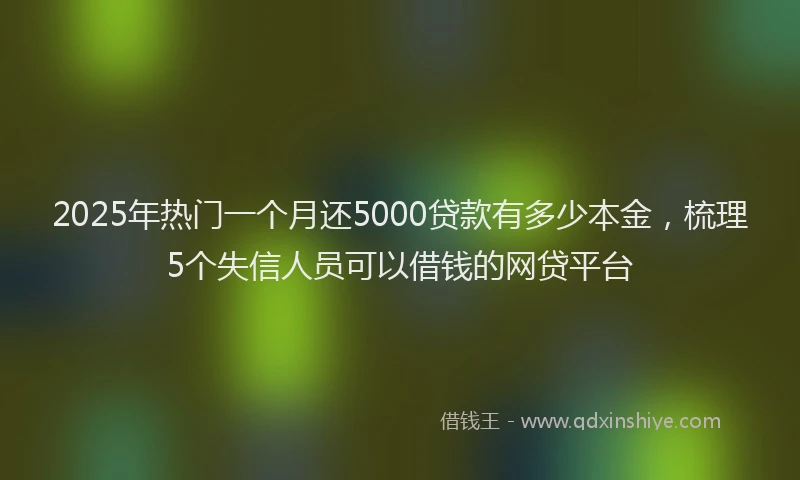 2025年热门一个月还5000贷款有多少本金，梳理5个失信人员可以借钱的网贷平台