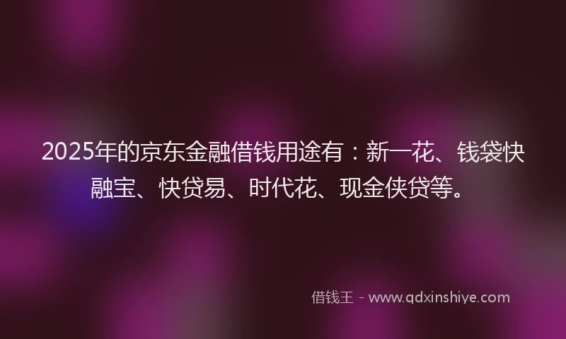 2025年的京东金融借钱用途有：新一花、钱袋快融宝、快贷易、时代花、现金侠贷等。