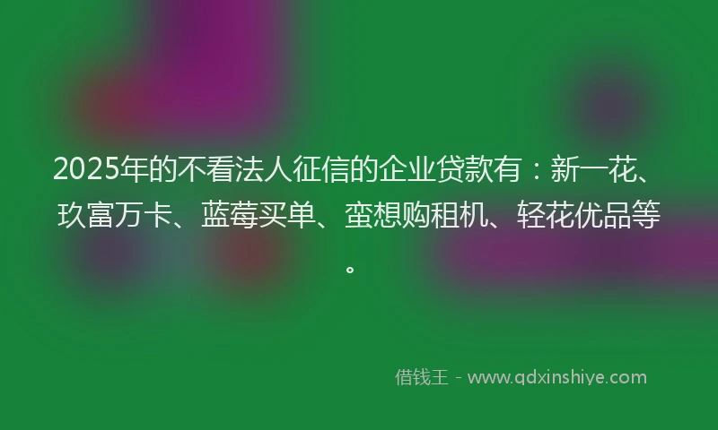 2025年的不看法人征信的企业贷款有：新一花、玖富万卡、蓝莓买单、蛮想购租机、轻花优品等。