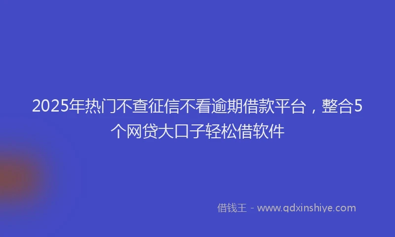 2025年热门不查征信不看逾期借款平台，整合5个网贷大口子轻松借软件