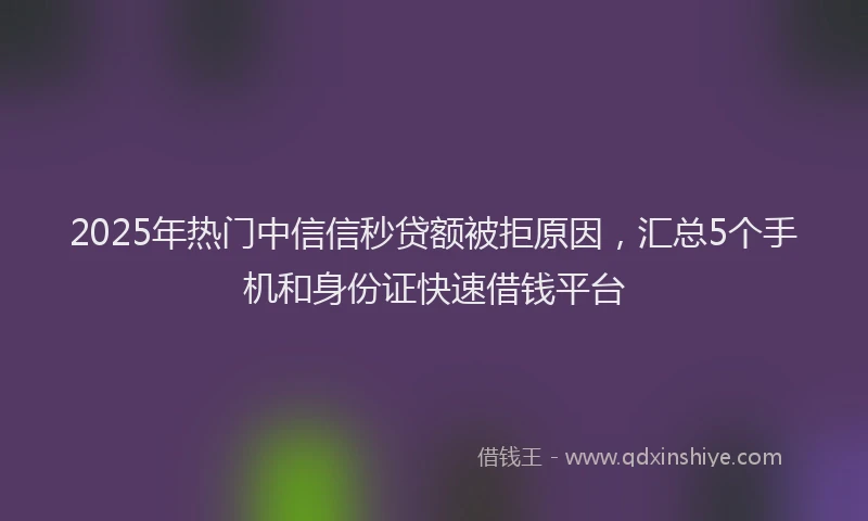 2025年热门中信信秒贷额被拒原因，汇总5个手机和身份证快速借钱平台