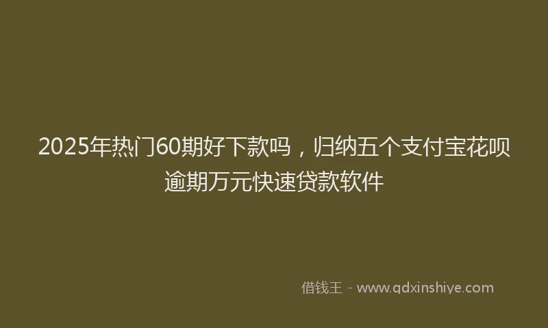 2025年热门60期好下款吗，归纳五个支付宝花呗逾期万元快速贷款软件