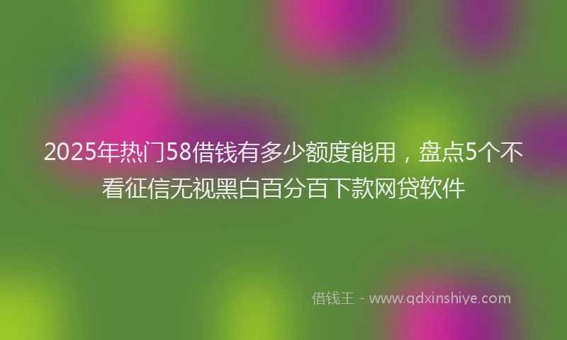 2025年热门58借钱有多少额度能用，盘点5个不看征信无视黑白百分百下款网贷软件