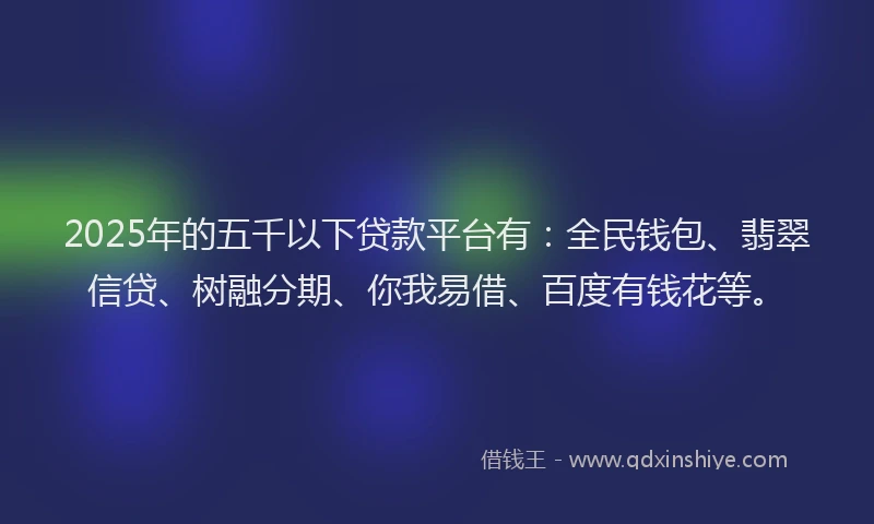 2025年的五千以下贷款平台有：全民钱包、翡翠信贷、树融分期、你我易借、百度有钱花等。