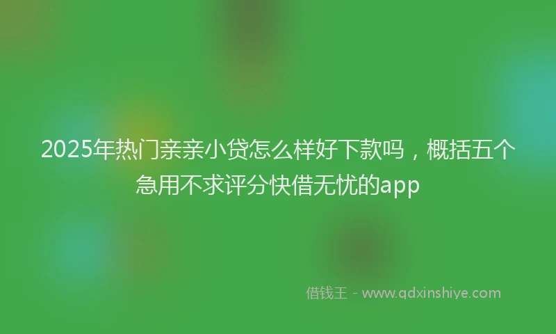 2025年热门亲亲小贷怎么样好下款吗，概括五个急用不求评分快借无忧的app