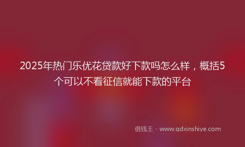 2025年热门乐优花贷款好下款吗怎么样，概括5个可以不看征信就能下款的平台