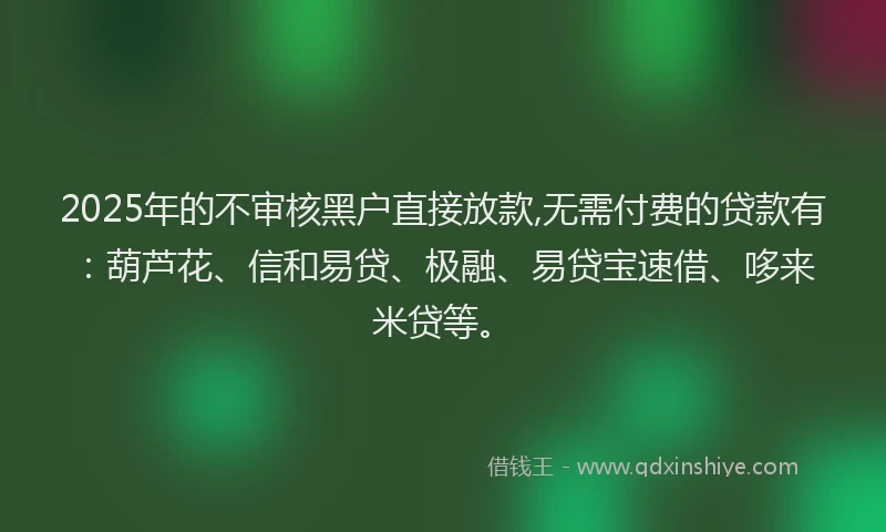 2025年的不审核黑户直接放款,无需付费的贷款有：葫芦花、信和易贷、极融、易贷宝速借、哆来米贷等。