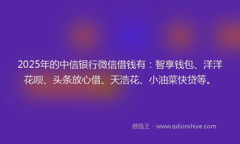 2025年的中信银行微信借钱有：智享钱包、洋洋花呗、头条放心借、天浩花、小油菜快贷等。