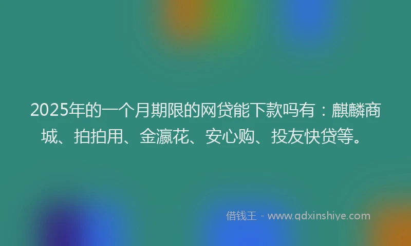2025年的一个月期限的网贷能下款吗有：麒麟商城、拍拍用、金瀛花、安心购、投友快贷等。