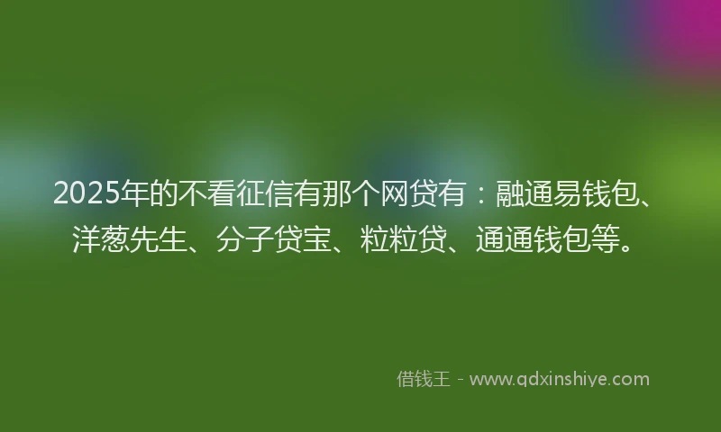 2025年的不看征信有那个网贷有：融通易钱包、洋葱先生、分子贷宝、粒粒贷、通通钱包等。