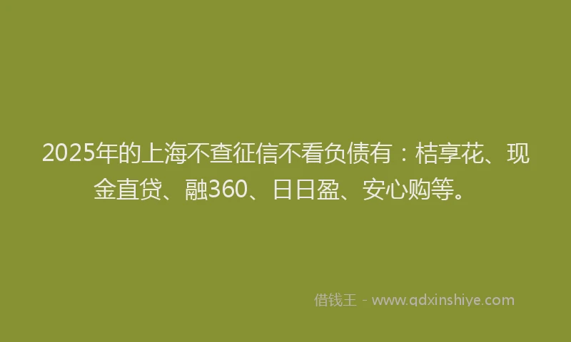 2025年的上海不查征信不看负债有：桔享花、现金直贷、融360、日日盈、安心购等。