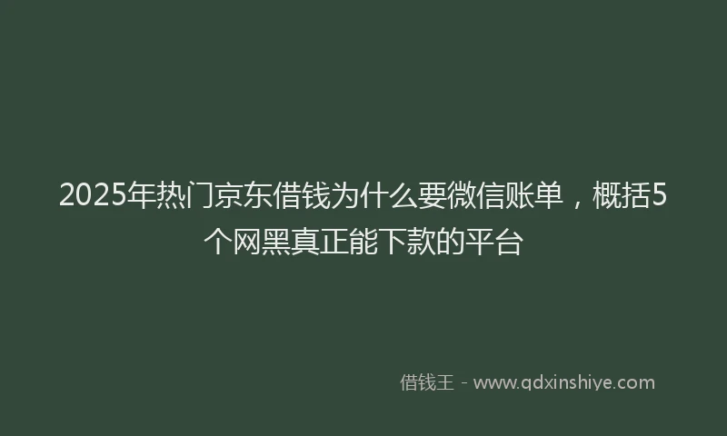 2025年热门京东借钱为什么要微信账单，概括5个网黑真正能下款的平台