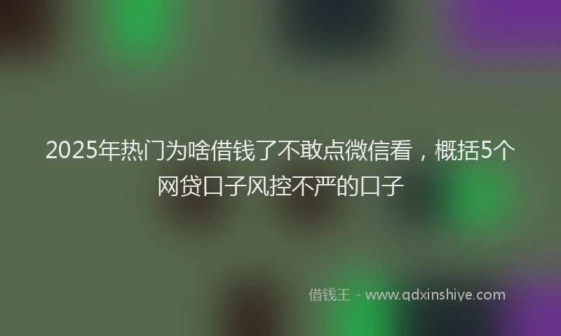 2025年热门为啥借钱了不敢点微信看，概括5个网贷口子风控不严的口子