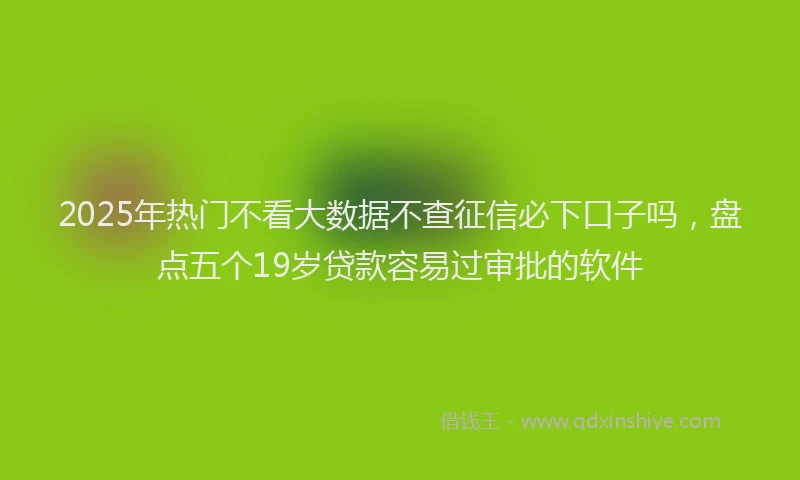 2025年热门不看大数据不查征信必下口子吗，盘点五个19岁贷款容易过审批的软件