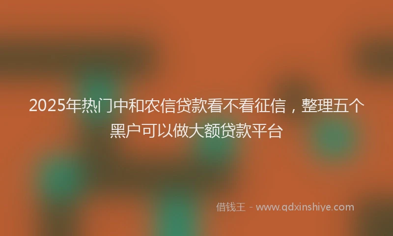 2025年热门中和农信贷款看不看征信，整理五个黑户可以做大额贷款平台