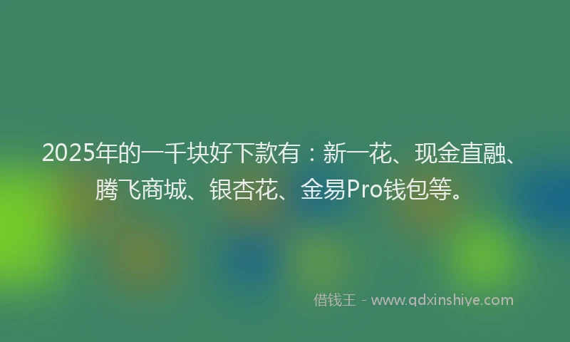 2025年的一千块好下款有：新一花、现金直融、腾飞商城、银杏花、金易Pro钱包等。