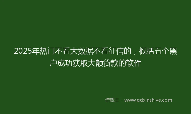 2025年热门不看大数据不看征信的，概括五个黑户成功获取大额贷款的软件
