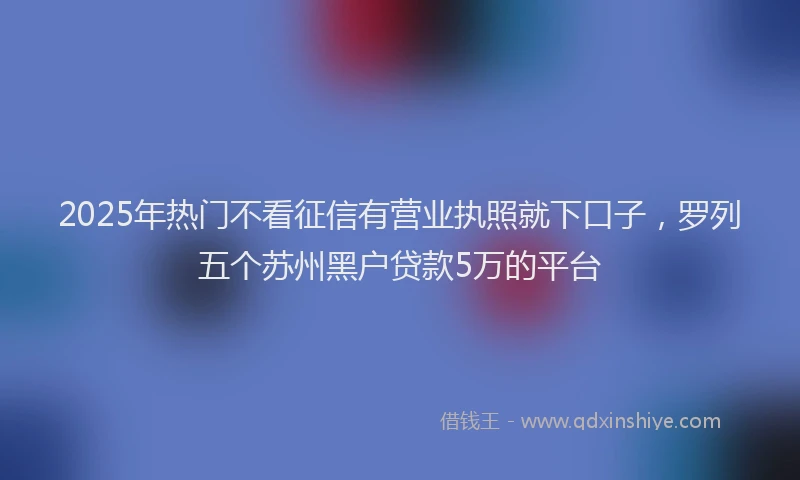 2025年热门不看征信有营业执照就下口子，罗列五个苏州黑户贷款5万的平台