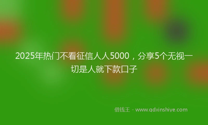 2025年热门不看征信人人5000，分享5个无视一切是人就下款口子