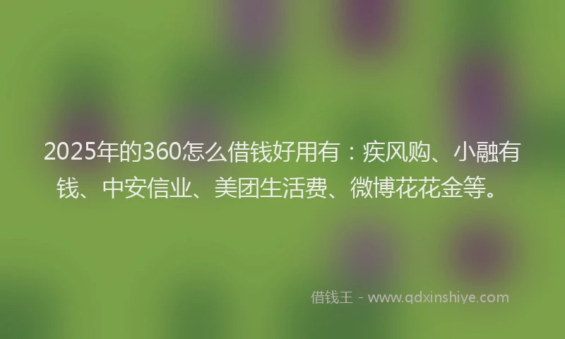 2025年的360怎么借钱好用有：疾风购、小融有钱、中安信业、美团生活费、微博花花金等。
