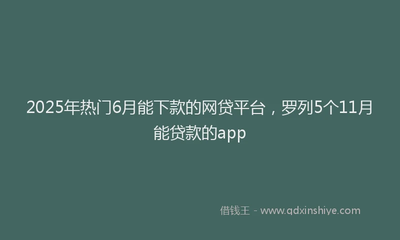 2025年热门6月能下款的网贷平台，罗列5个11月能贷款的app