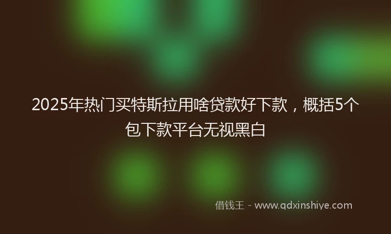 2025年热门买特斯拉用啥贷款好下款，概括5个包下款平台无视黑白