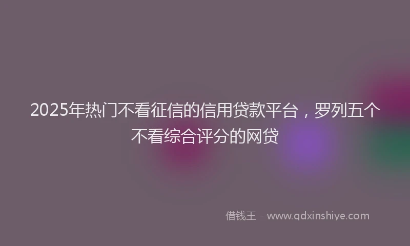 2025年热门不看征信的信用贷款平台，罗列五个不看综合评分的网贷