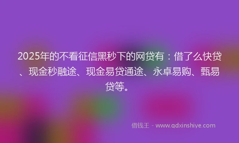 2025年的不看征信黑秒下的网贷有：借了么快贷、现金秒融途、现金易贷通途、永卓易购、甄易贷等。